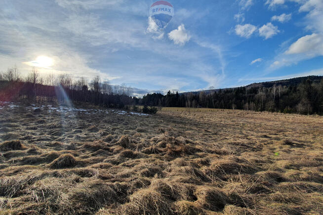 Działka budowlano usługowa – przy lesie.