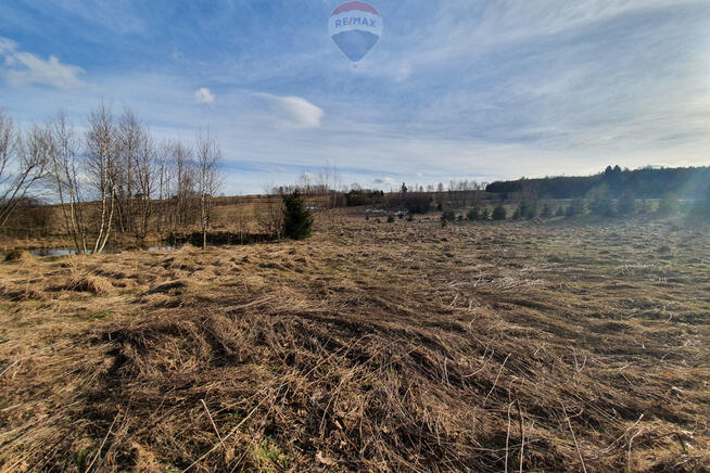 Działka budowlano usługowa – przy lesie.