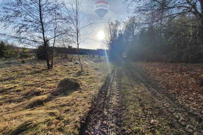 Działka budowlano usługowa – przy lesie.