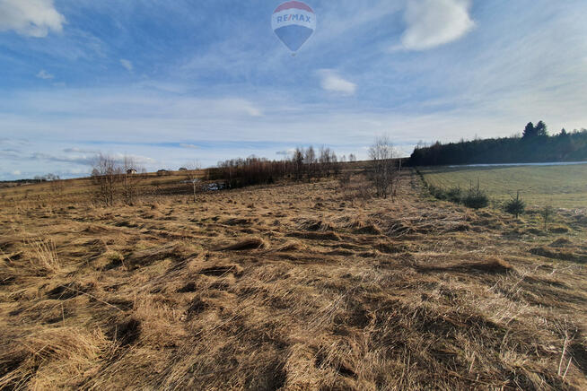 Działka budowlano usługowa – przy lesie.