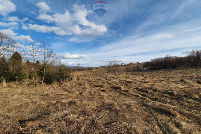 Działka budowlano usługowa – przy lesie.