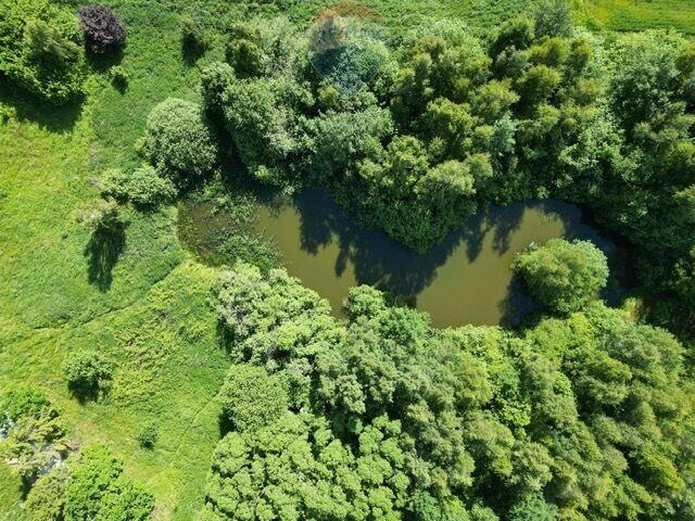 Piękna działka pod siedlisko przy Gdańsku