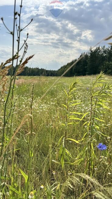 Atrakcyjna działka budowlana w otoczeniu lasu.