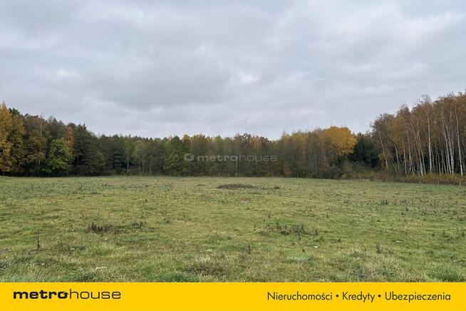 Działka rolna Róże - Mazury - 1,47 Ha