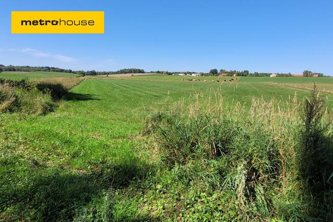 Działka rolna 0,75 Ha - Róże