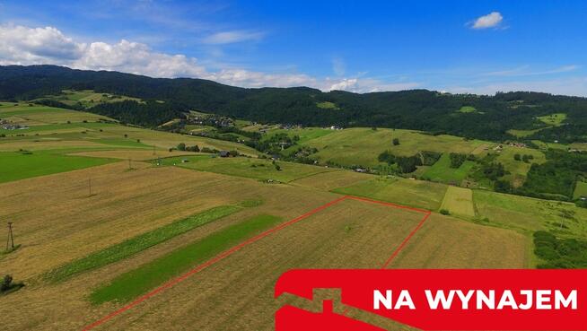 Działka w Grywałdzie; 1,1003 ha; warunki zabudowy