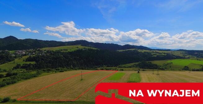 Działka w Grywałdzie; 1,1003 ha; warunki zabudowy