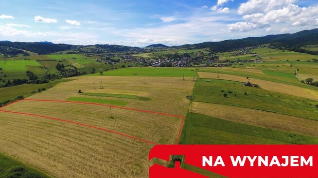 Działka w Grywałdzie; 1,1003 ha; warunki zabudowy