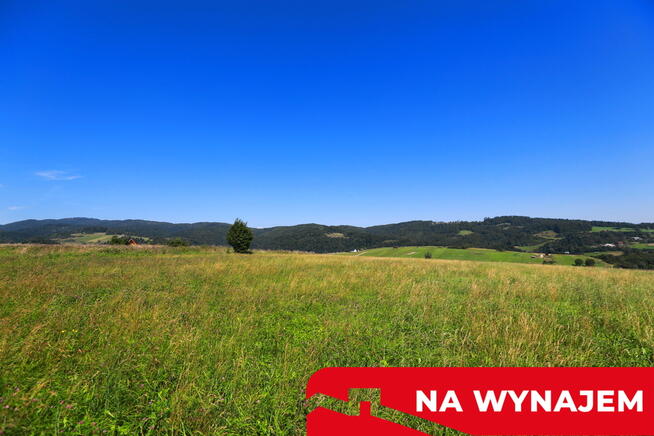 Działka w Grywałdzie; 1,1003 ha; warunki zabudowy