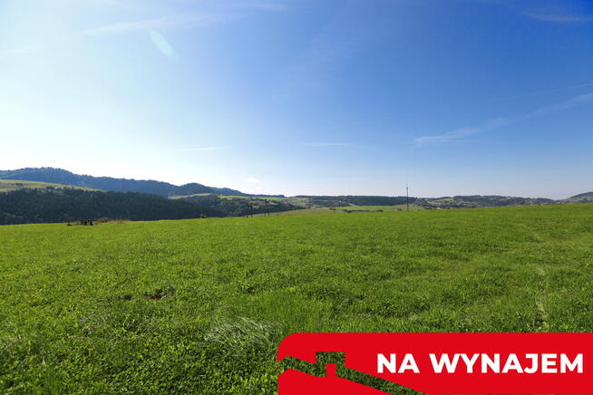 Działka w Grywałdzie; 1,1003 ha; warunki zabudowy