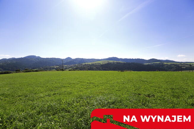 Działka w Grywałdzie; 1,1003 ha; warunki zabudowy