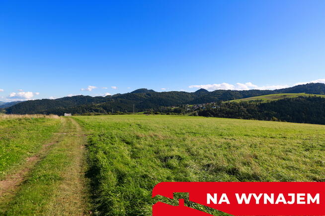 Działka w Grywałdzie; 1,1003 ha; warunki zabudowy