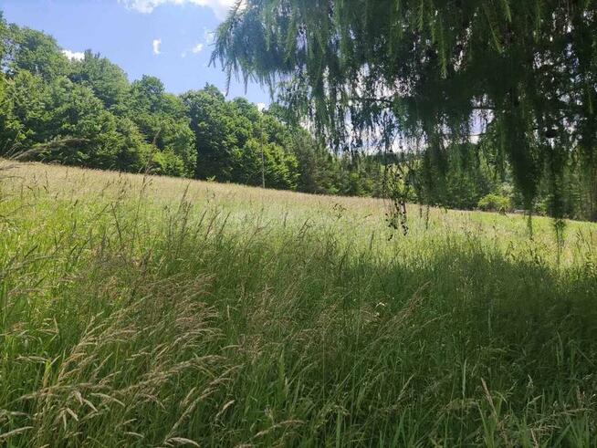 Działka blisko Jeziora Solińskiego