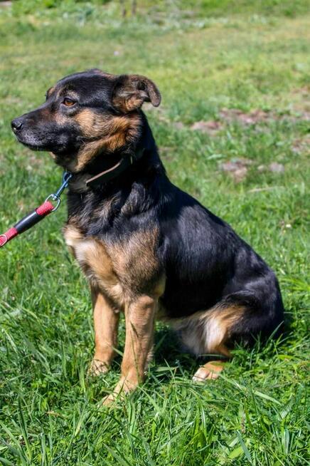 Novy czeka na wymarzony domek