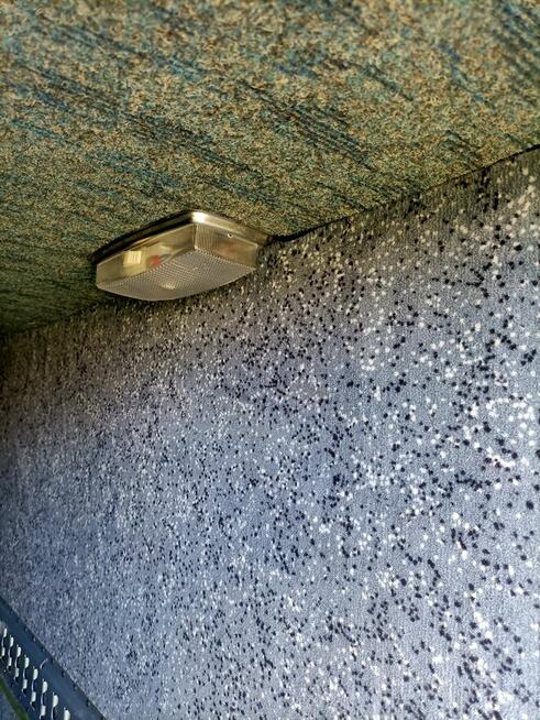 Sprzedam solidna przyczepę towarowa