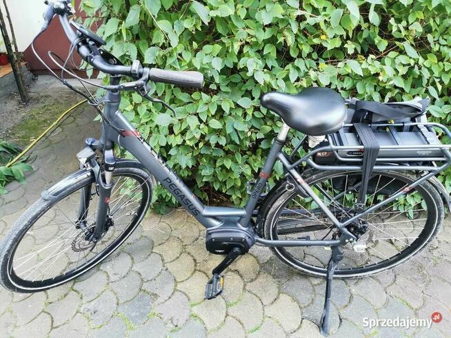 Rower elektryczny PEGASUS Opero Rama na wzrost 168-180cm