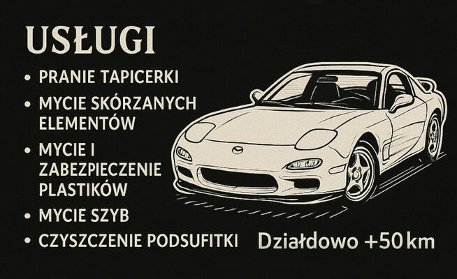 Profesjonalne mycie wnętrza auta