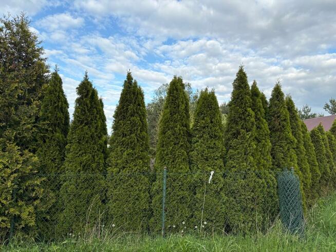 Działka budowlana Rusiec gmina Nadarzyn