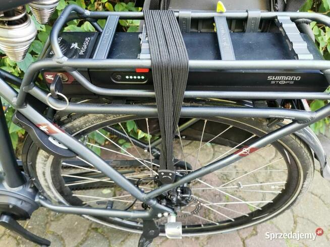 Rower elektryczny PEGASUS Opero Rama na wzrost 168-180cm