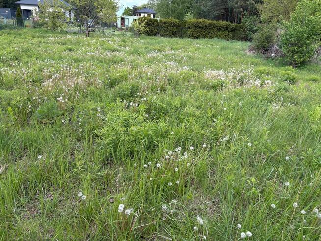 Działka budowlana Rusiec gmina Nadarzyn