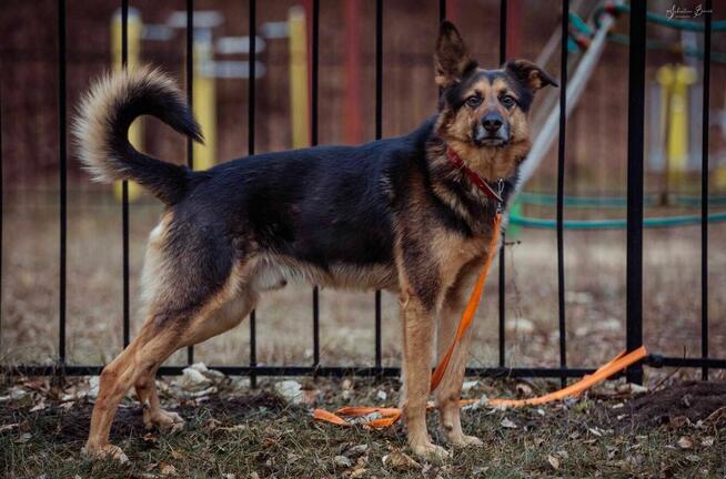 Ralf czeka na swojego człowieka