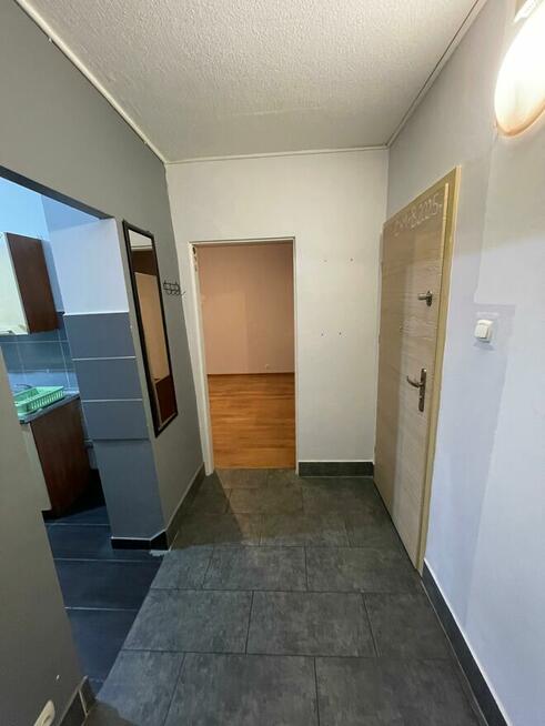 Wynajmę mieszkanie. Ropczyce 36.6 m²