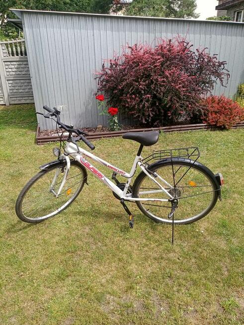 Rower Olpran Mercury