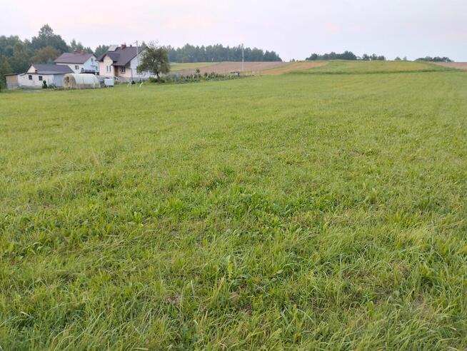 Działka zadbana 41 ar - Bączal Dolny przy drodze asfaltowej