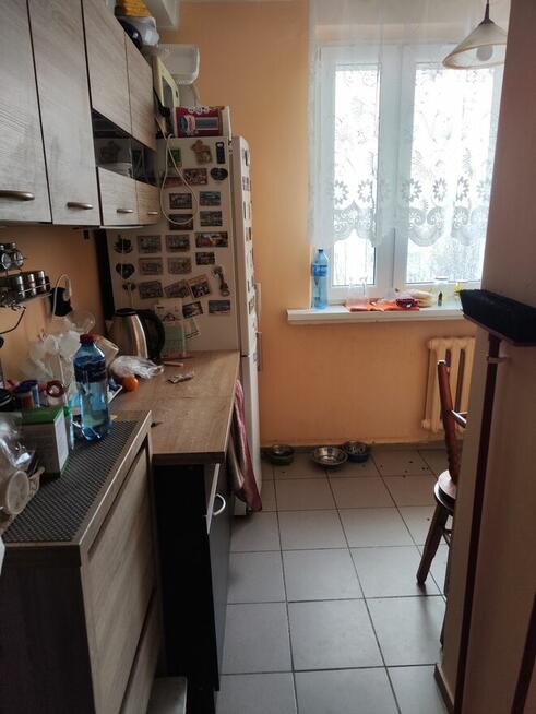 Zamianie mieszkanie na większe z KZGM w Katowicach Ligota