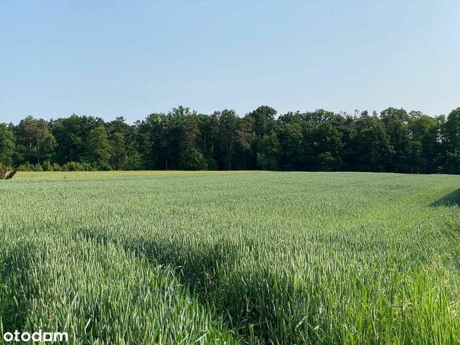 Działka budowlana w pięknej okolicy