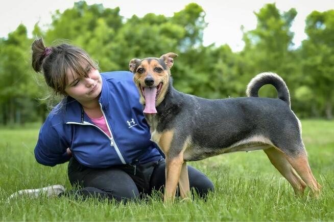 Fredzia-porzicona suczka, czy wreszcie znajdzie dom? Adopcja