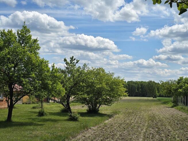 Siedlisko 10,2659 ha, Juliopol