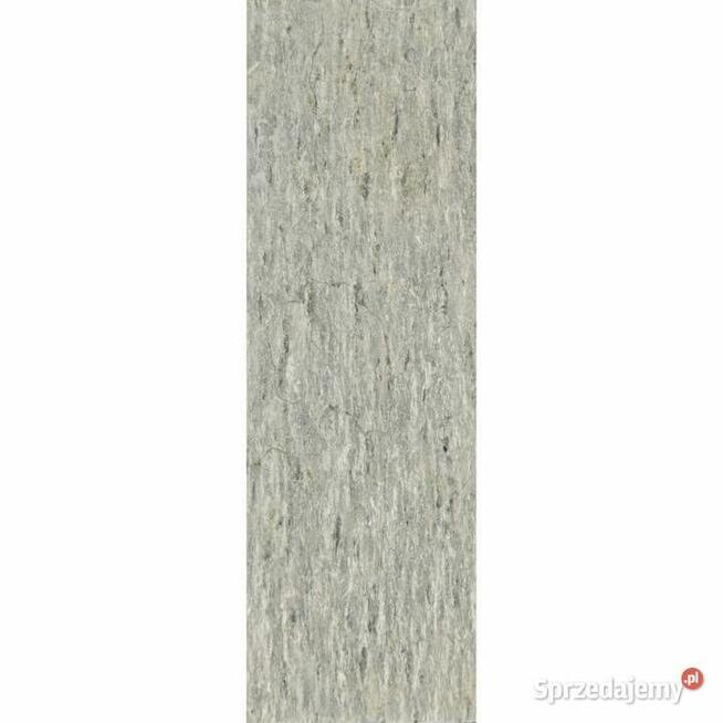 Płytki Łupek Silver Shine naturalny 10x30x0,8-1,3 cm