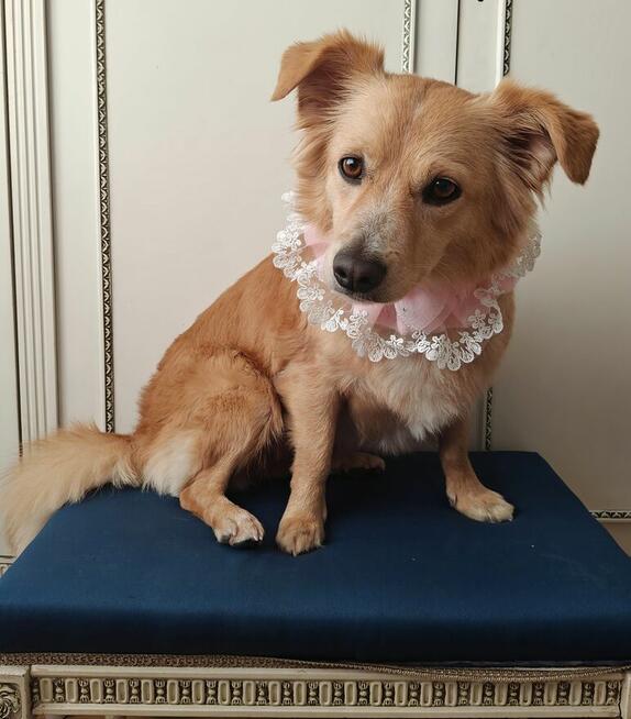 Poszukiwani modele na strzyżenie