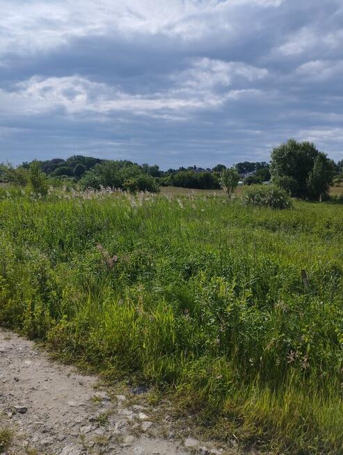 Działka budowlana Woj-Pomorskie Mierzyno