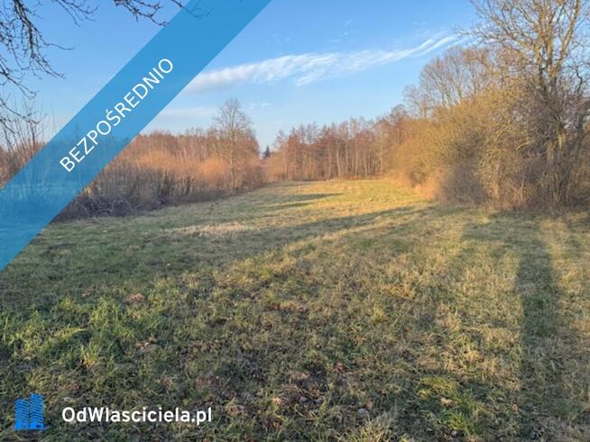 Syndyk sprzeda Nieruchomość w Rydzyniu Włościańskim
