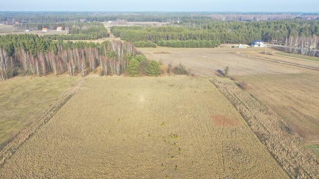Działka rolna Obierwia gm. Lelis