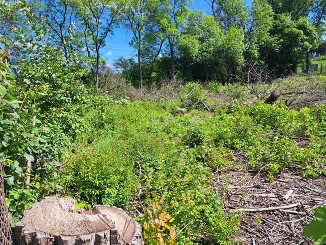 Działka usługowa Słomniki