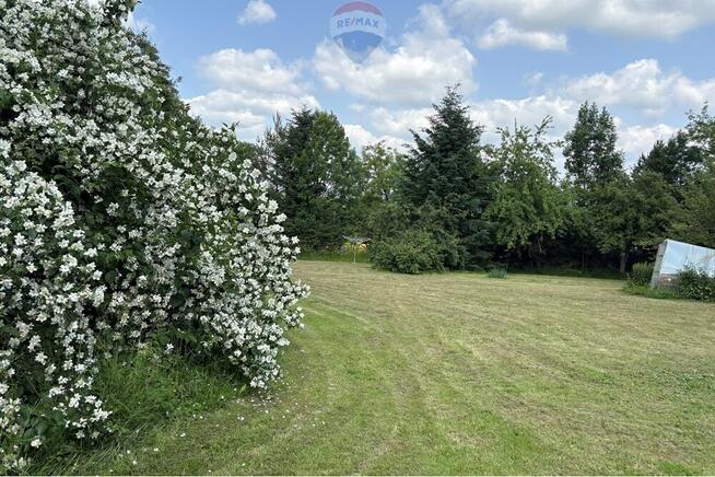 Posiadłość z ogrodem w roli głównej