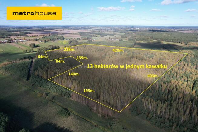 Las 13ha, duży areał w jednym kawałku - Klonownica