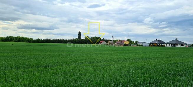 Działka budowlana 1227 m2 Bielawki