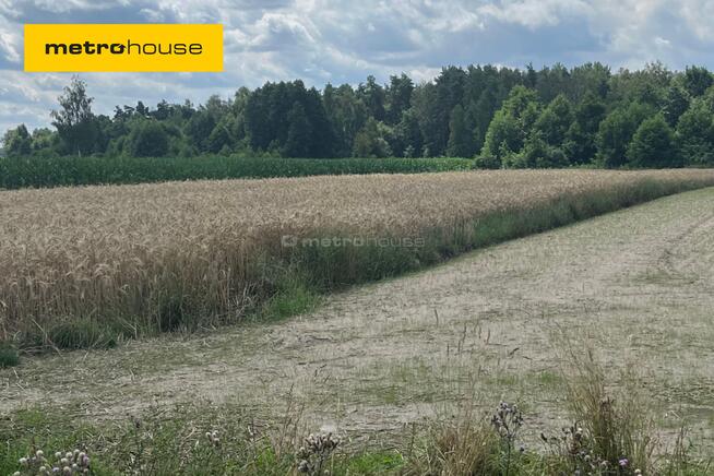 Działka inwestycyjna z możliwością zabudowy