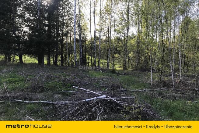 Działki rolne w miejscowości Rumy, Warmia i Mazury