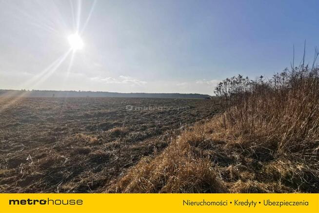 Twój wymarzony zakątek: działka w Ligotce