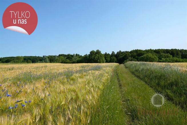 Wyjątkowa działka z pozwoleniem na budowę -1,48 ha