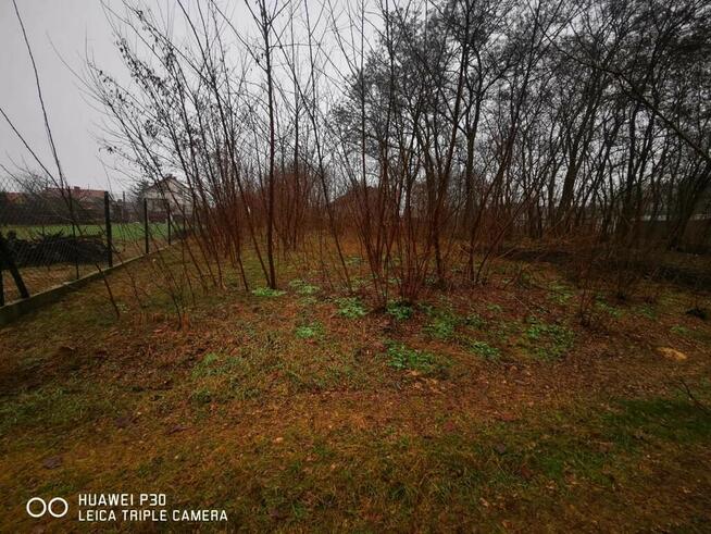 Działka pod zabudowę 2000 m2- Mingosy!