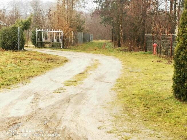 Działka pod zabudowę 2000 m2- Mingosy!