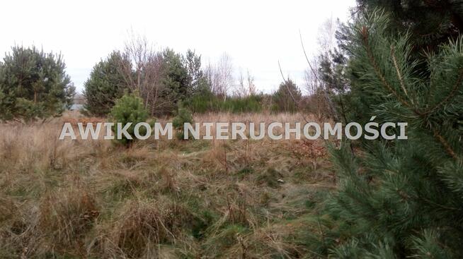 Działka siedliskowa Dąbrowice gm. Maków