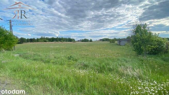 Działka 4300m2 Pacierzów/ Kłomnice