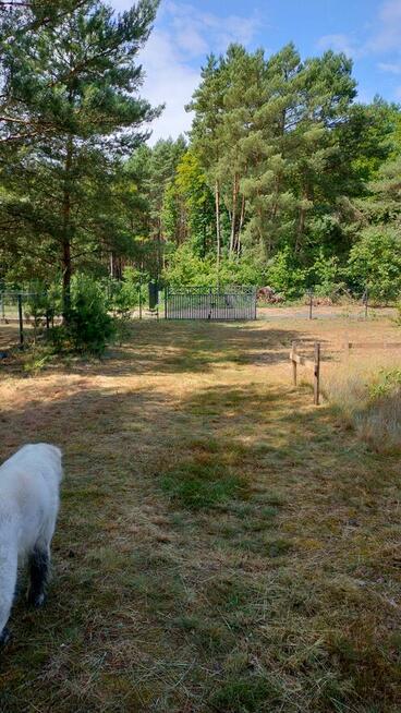 Sprzedam działkę budowlaną